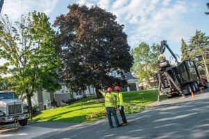 editorial event photography details and design custom creations business identity for marketing and social media minnesota photographers stock product